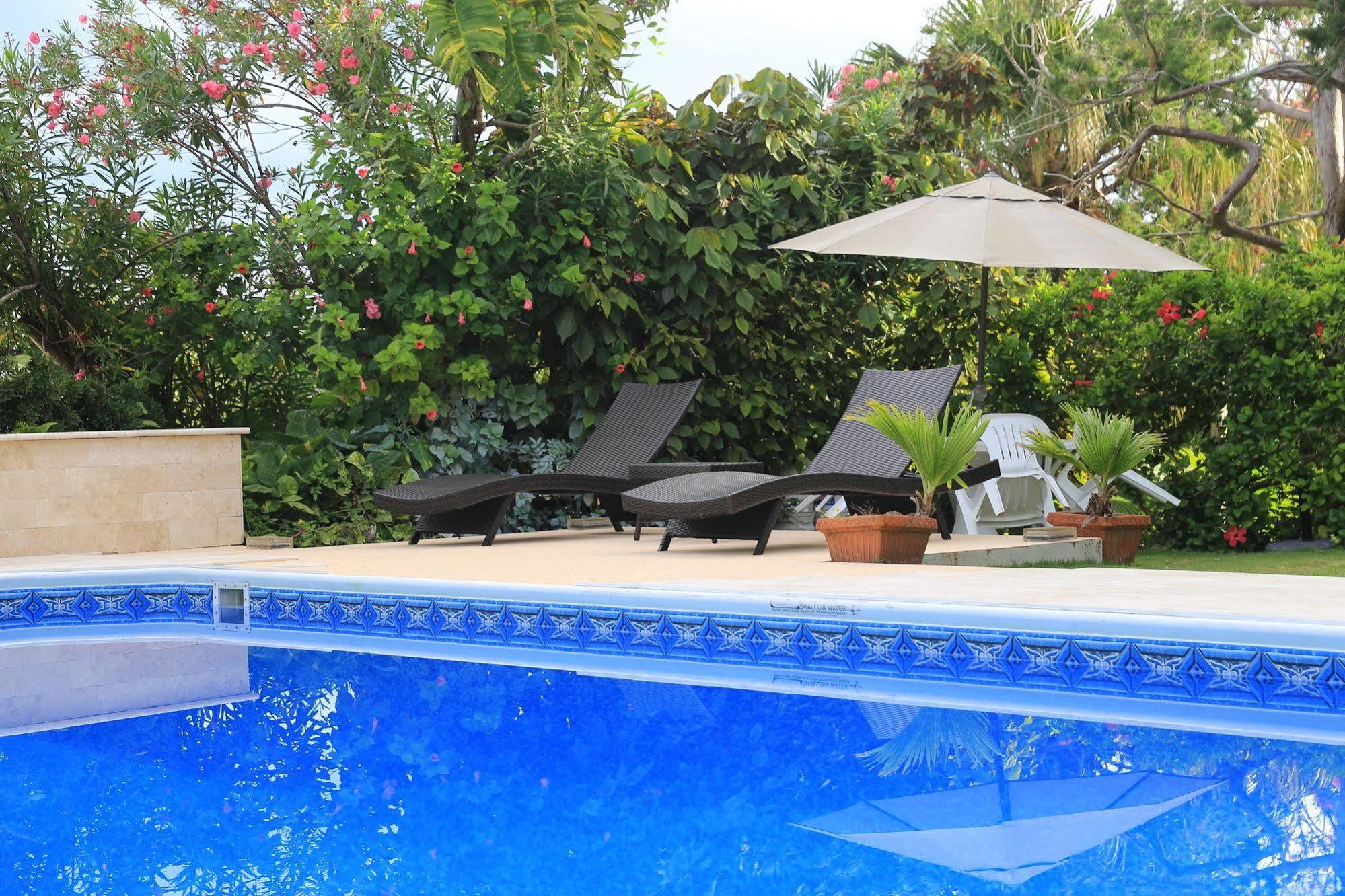 Edgehill Manor Guest House Hamilton City Esterno foto